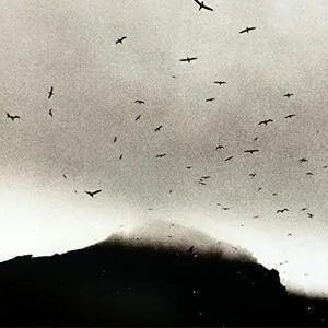 If wishes were horses